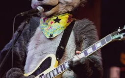 🐾 Furry Musicians! 🐾